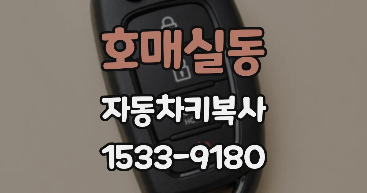 호매실동 자동차키복사