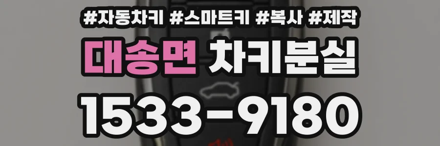 대송면 차키분실