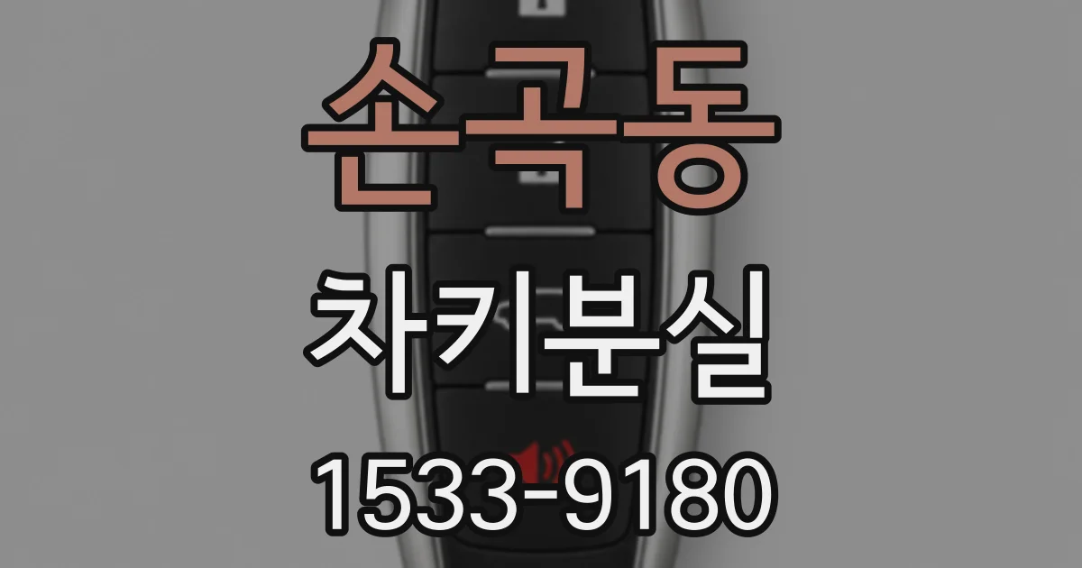 손곡동 차키분실