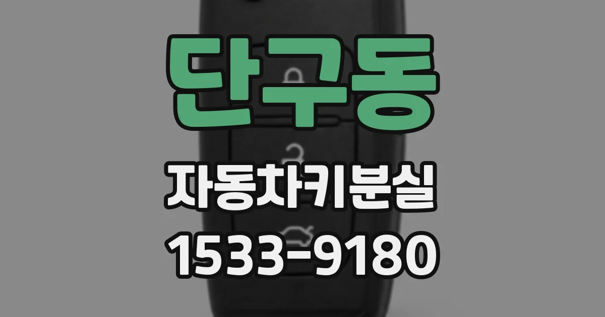 단구동 자동차키분실