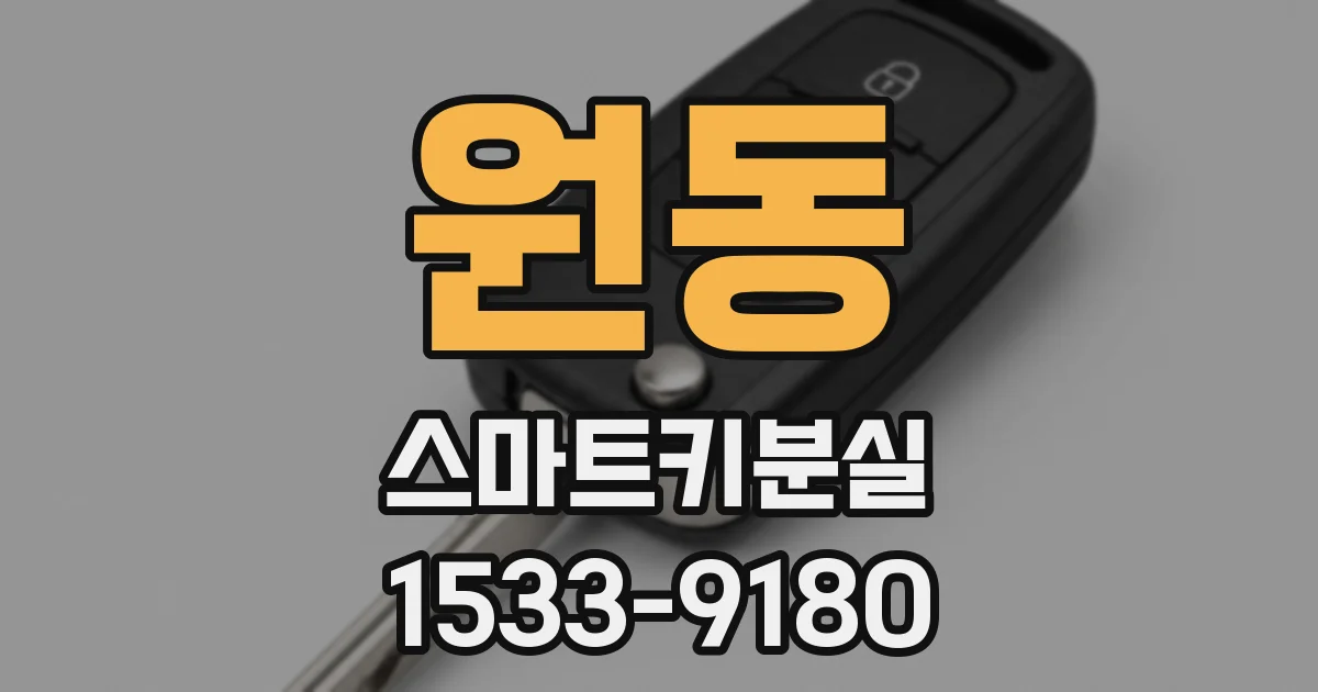원동 스마트키분실