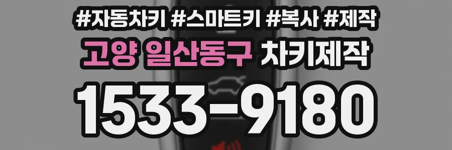 고양 일산동구 차키제작