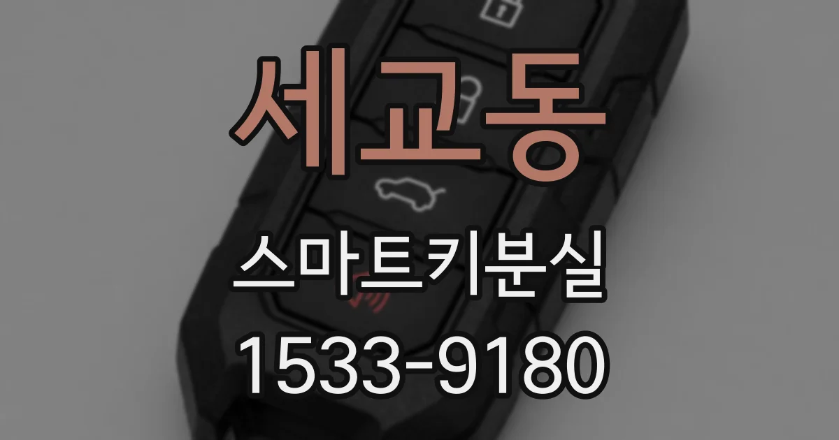 세교동 스마트키분실