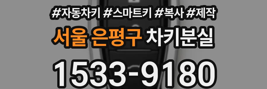 서울 은평구 차키분실