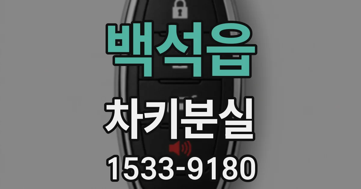 백석읍 차키분실