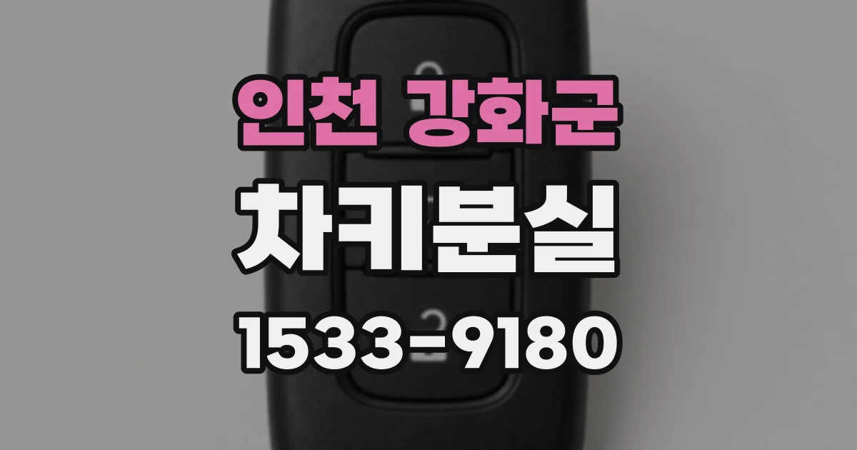 인천 강화군 차키분실