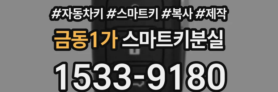 금동1가 스마트키분실