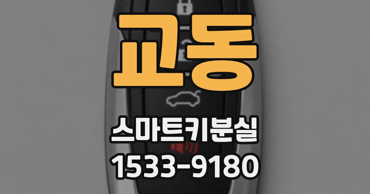 교동 스마트키분실