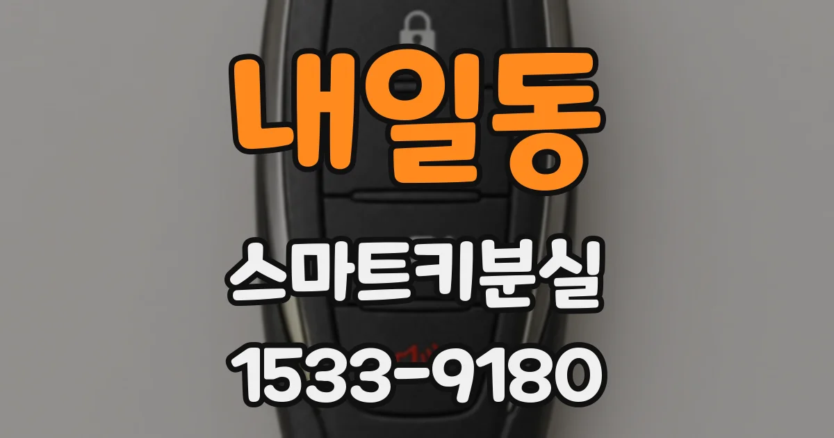 내일동 스마트키분실