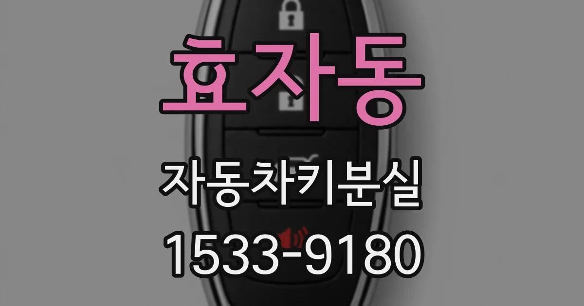 효자동 자동차키분실