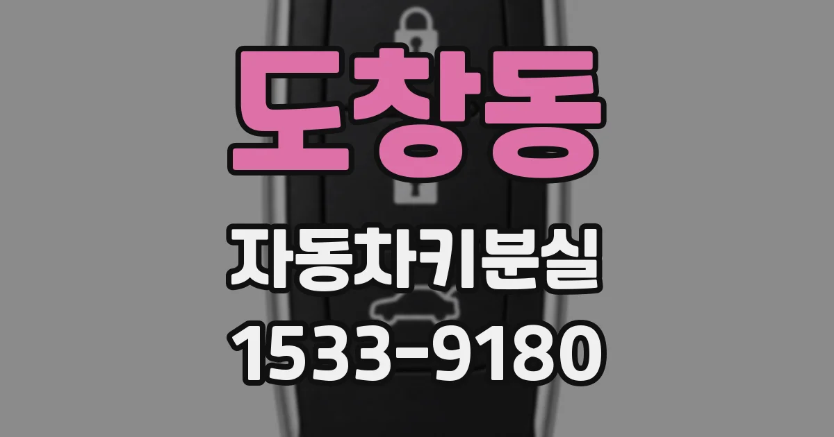 도창동 자동차키분실