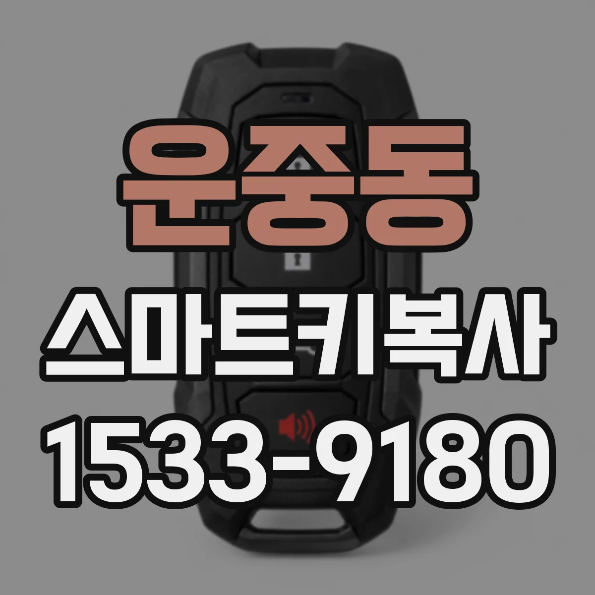 운중동 스마트키복사