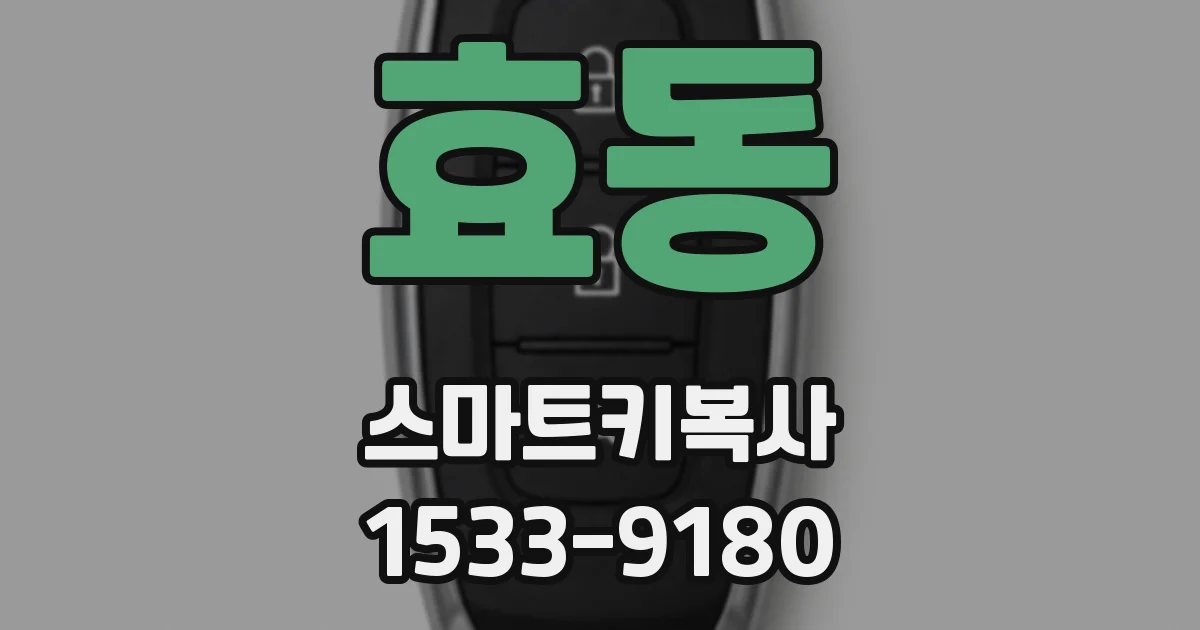 효동 스마트키복사