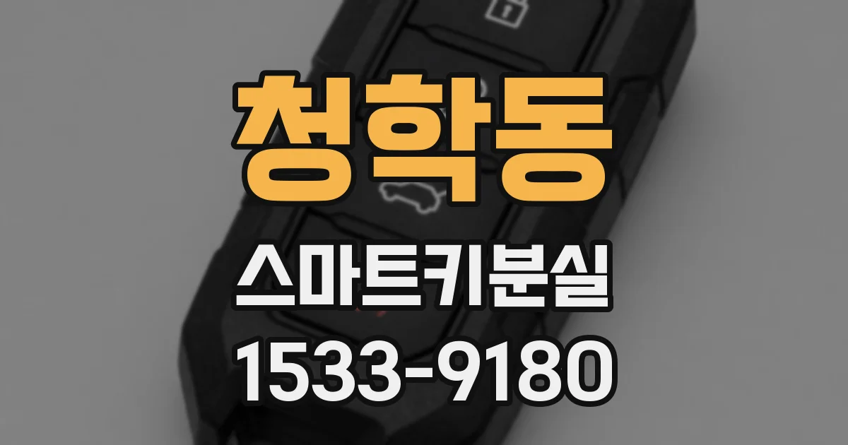 청학동 스마트키분실