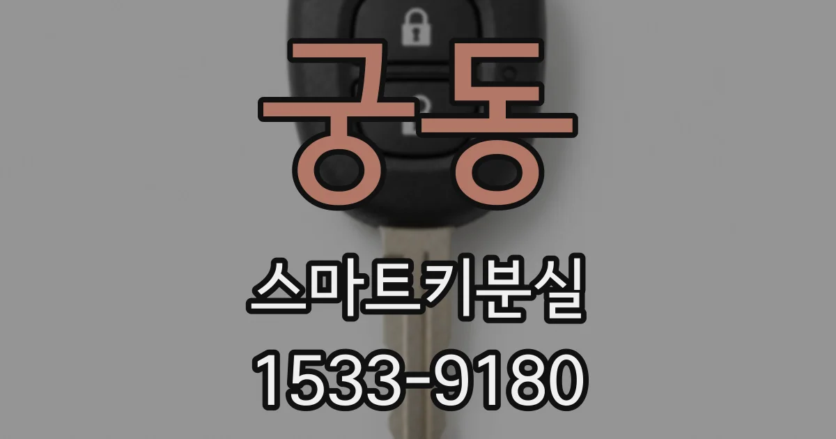 궁동 스마트키분실
