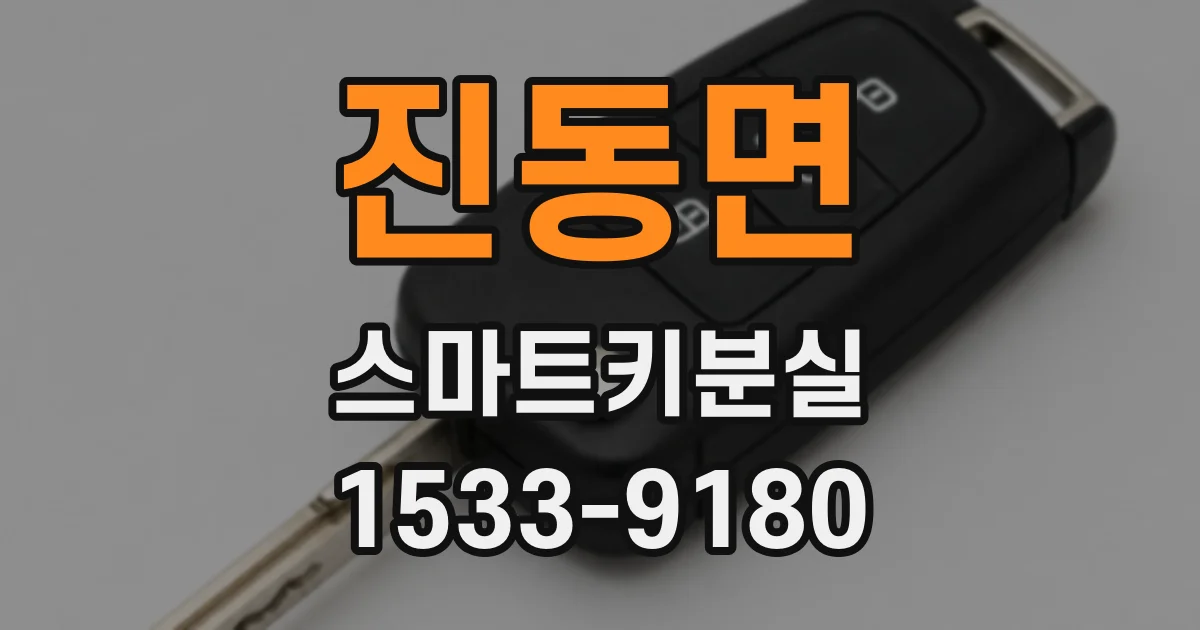 진동면 스마트키분실