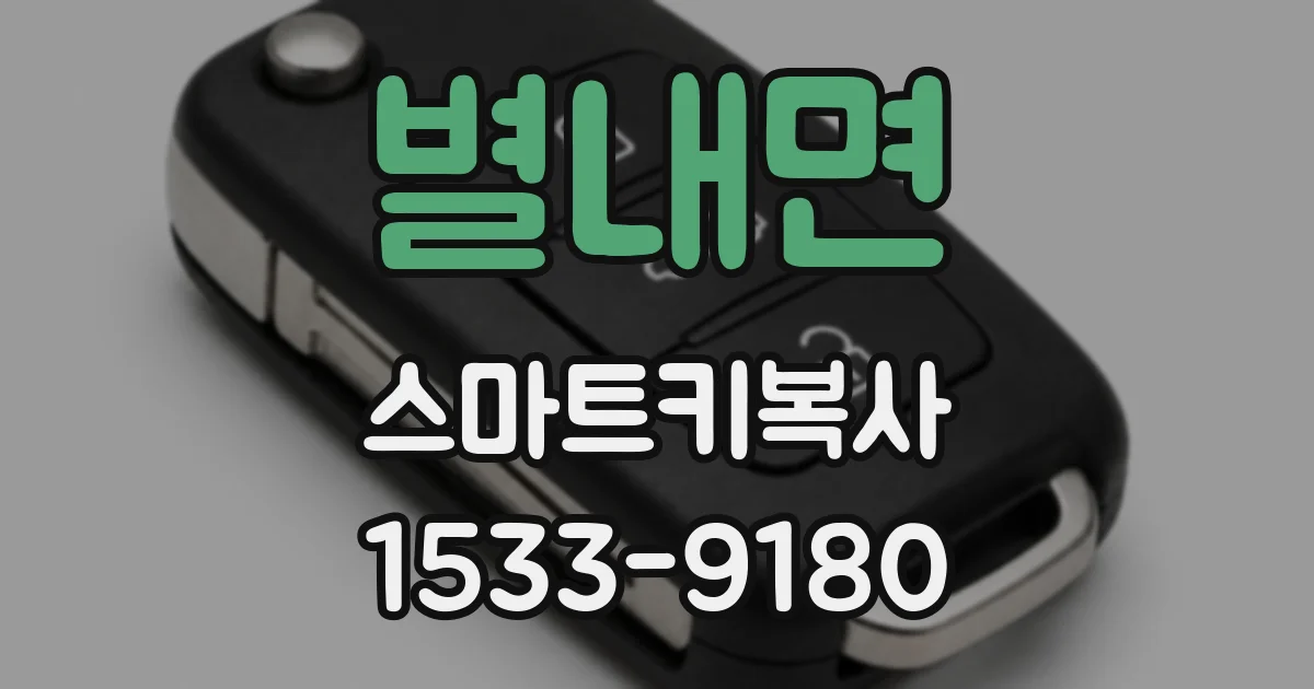 별내면 스마트키복사