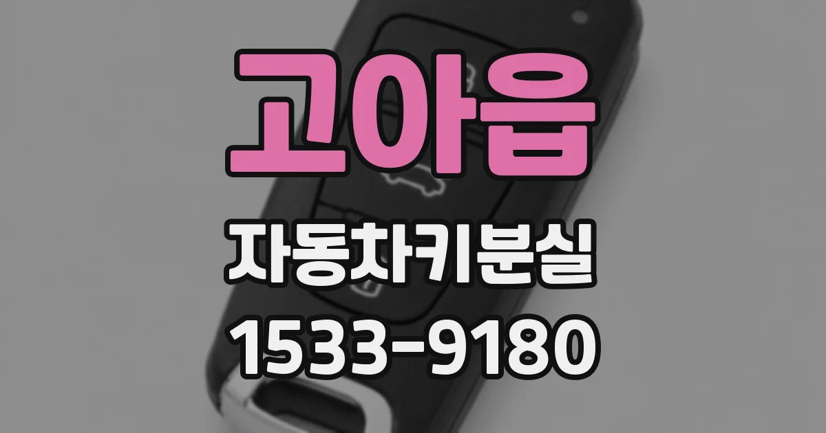 고아읍 자동차키분실