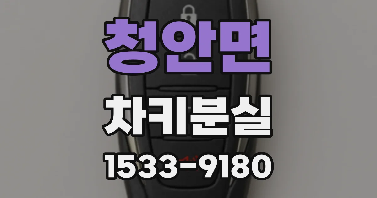 청안면 차키분실