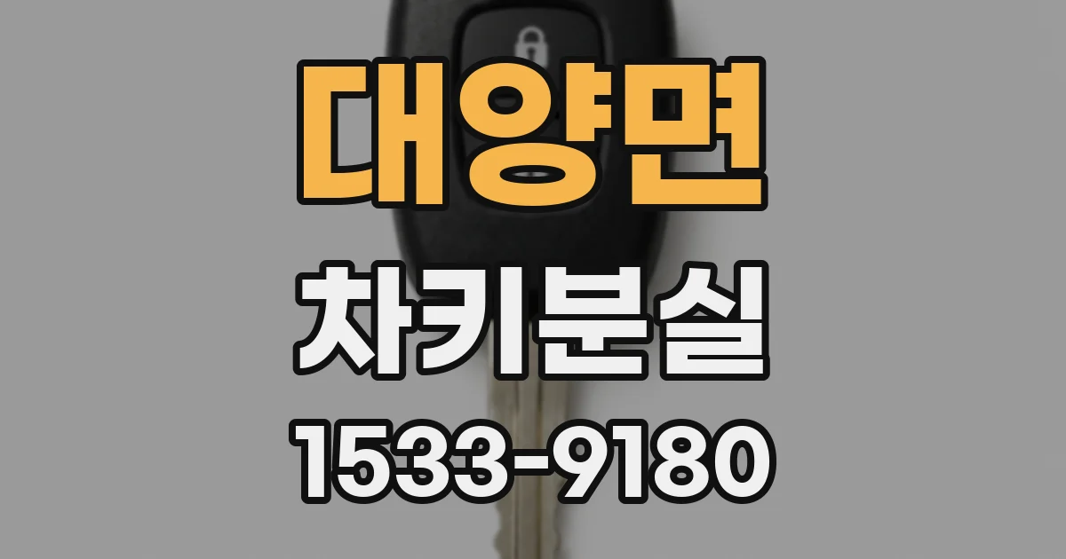 대양면 차키분실