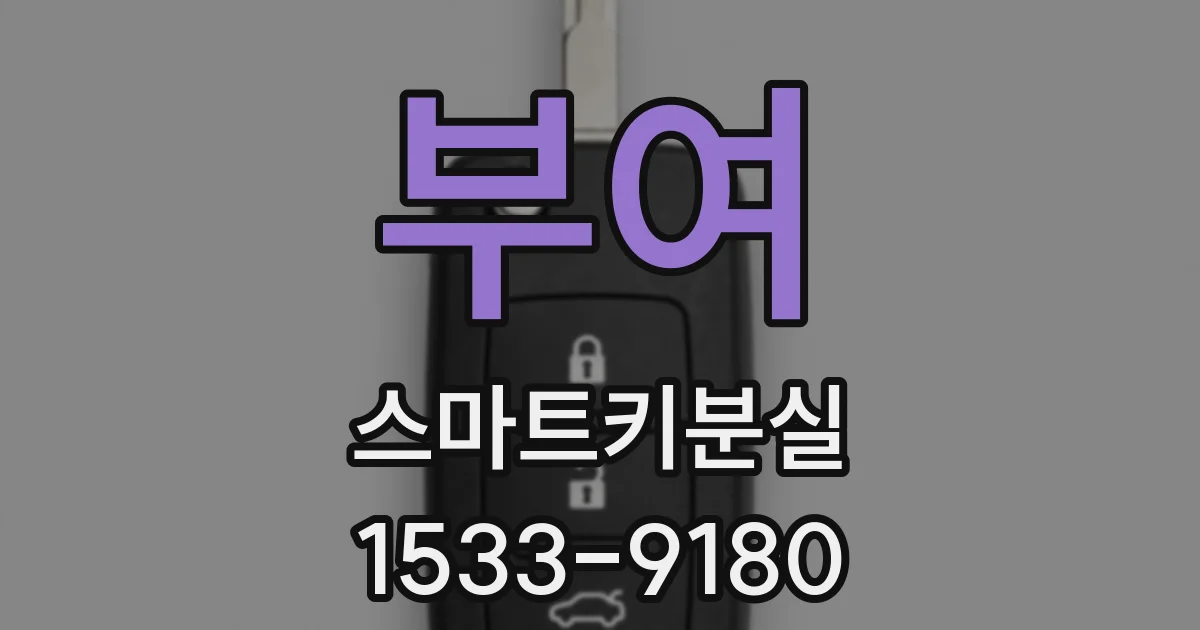 부여 스마트키분실