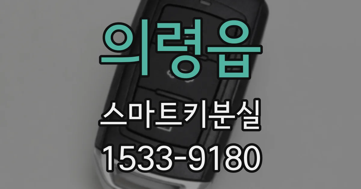 의령읍 스마트키분실