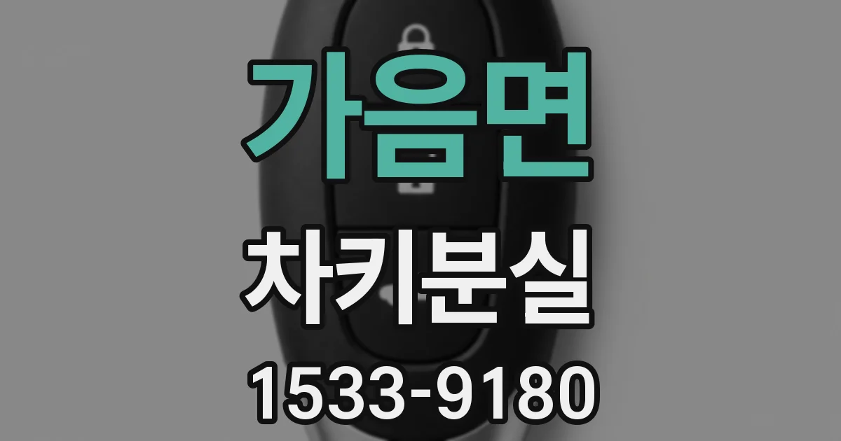 가음면 차키분실