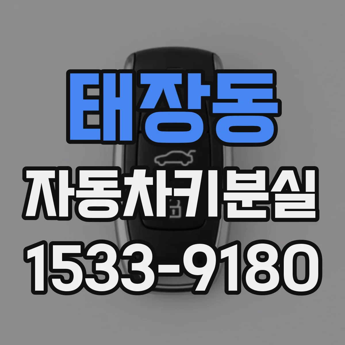 태장동 자동차키분실