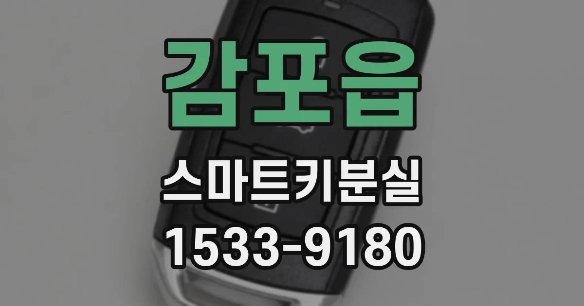 감포읍 스마트키분실