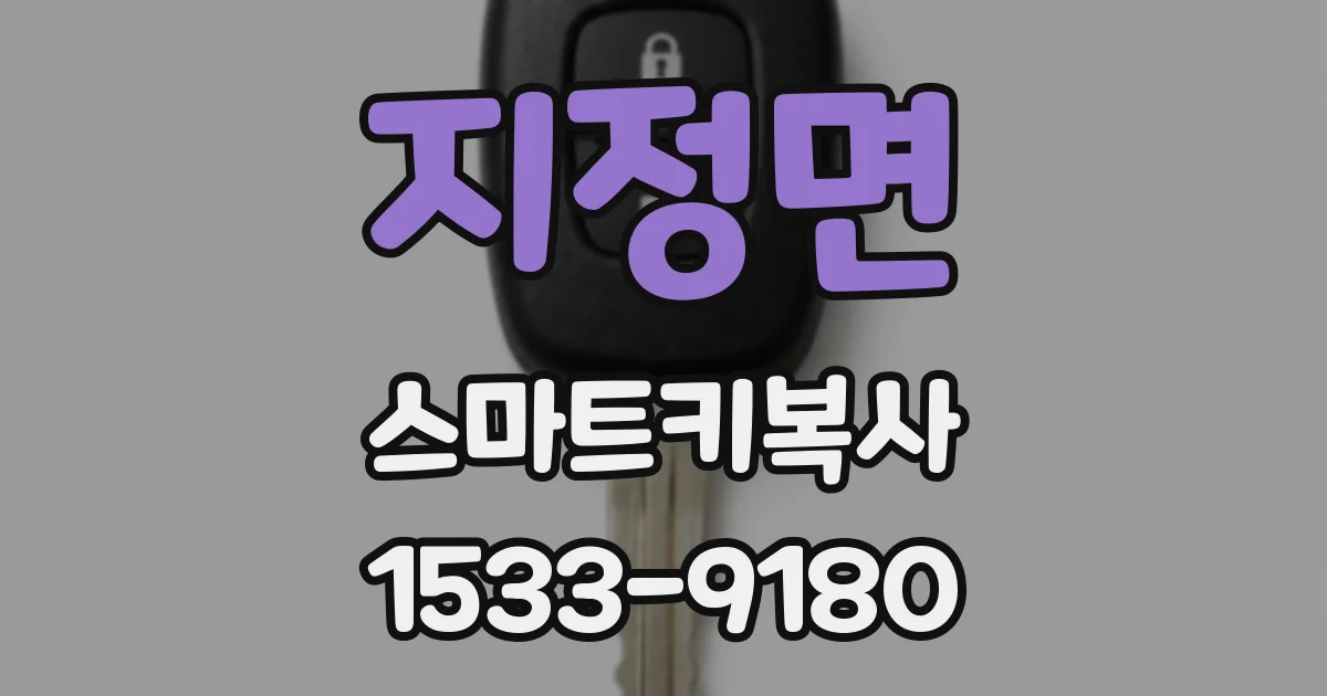 지정면 스마트키복사