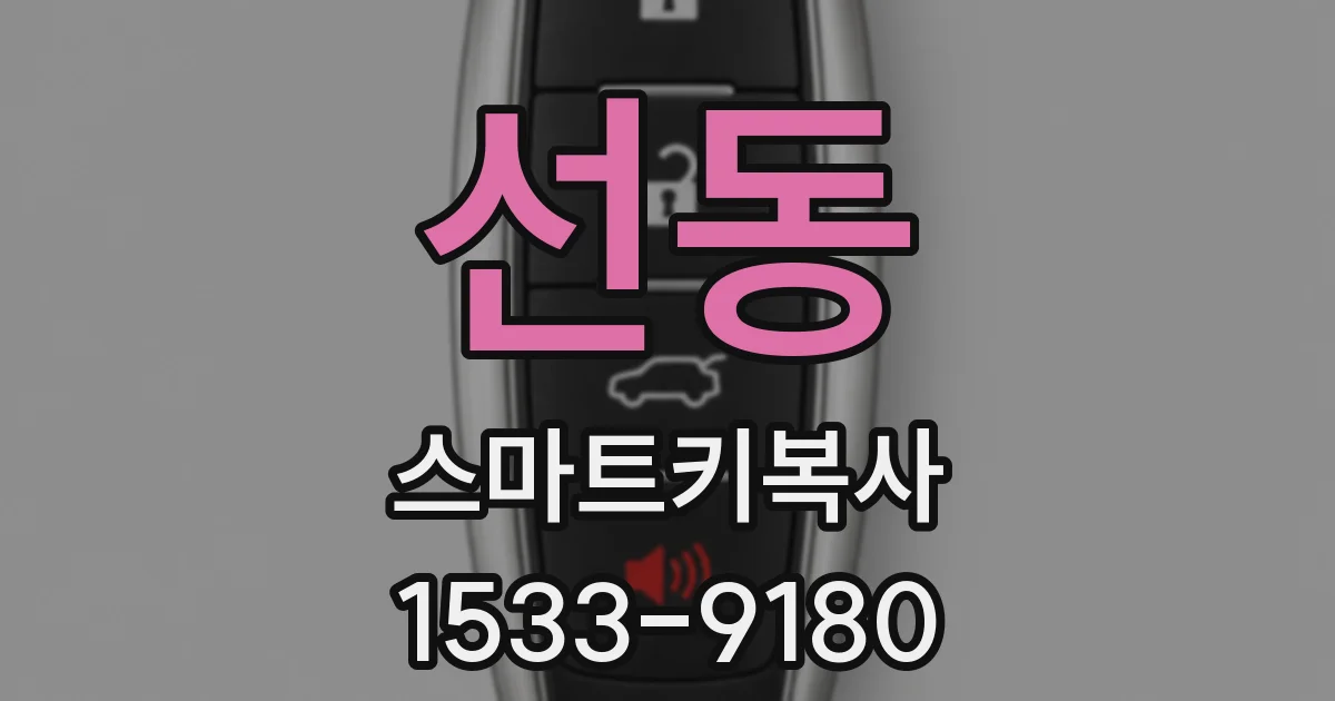 선동 스마트키복사