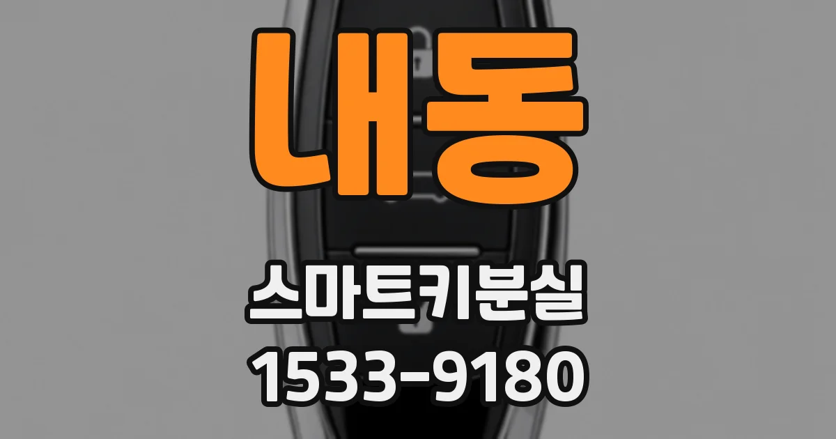 내동 스마트키분실