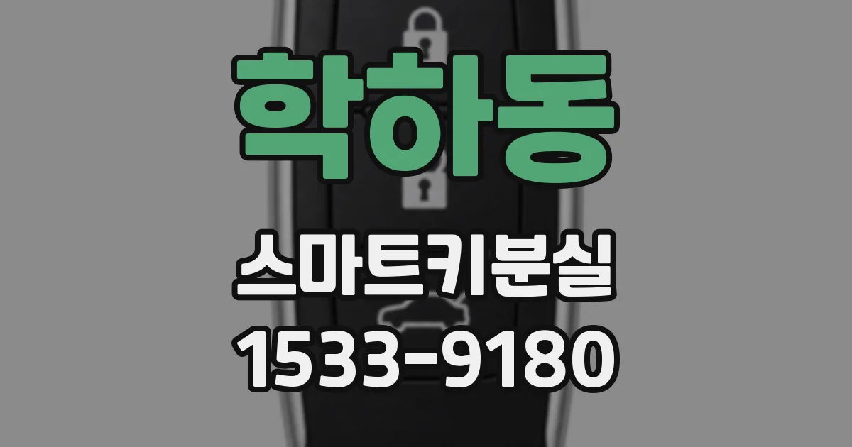 학하동 스마트키분실