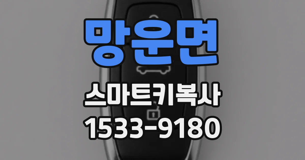 망운면 스마트키복사