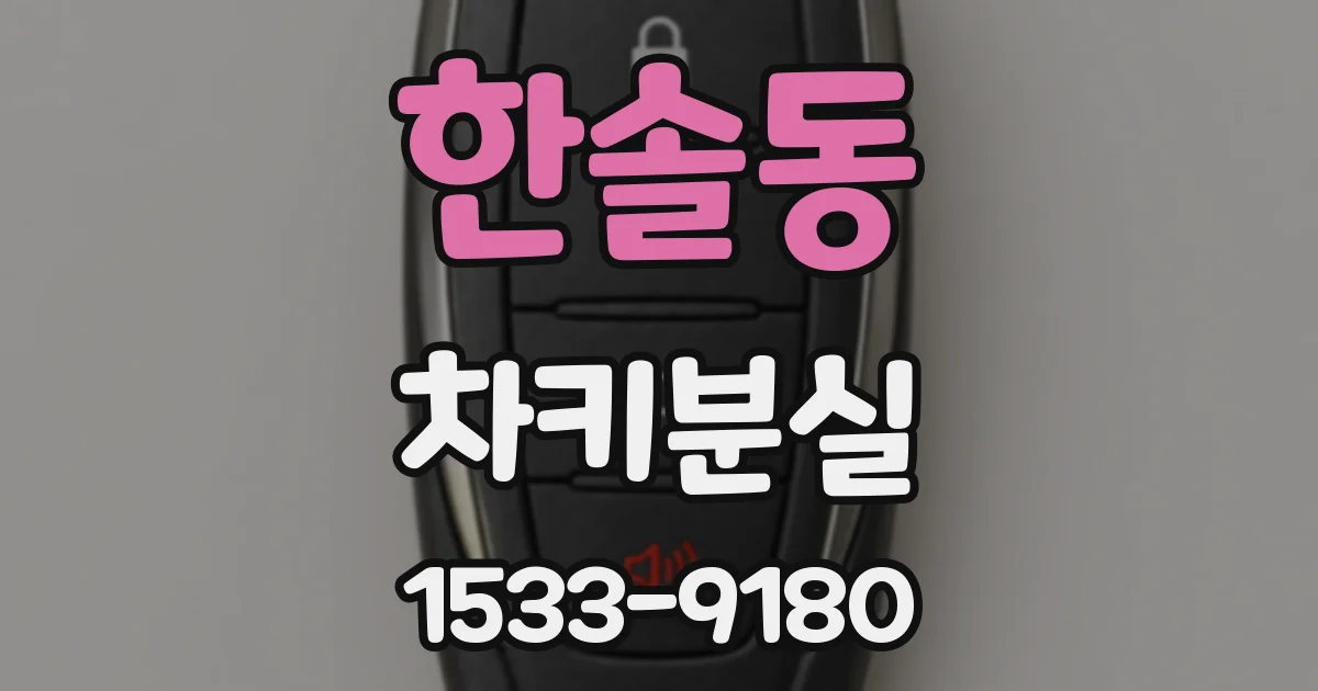 한솔동 차키분실