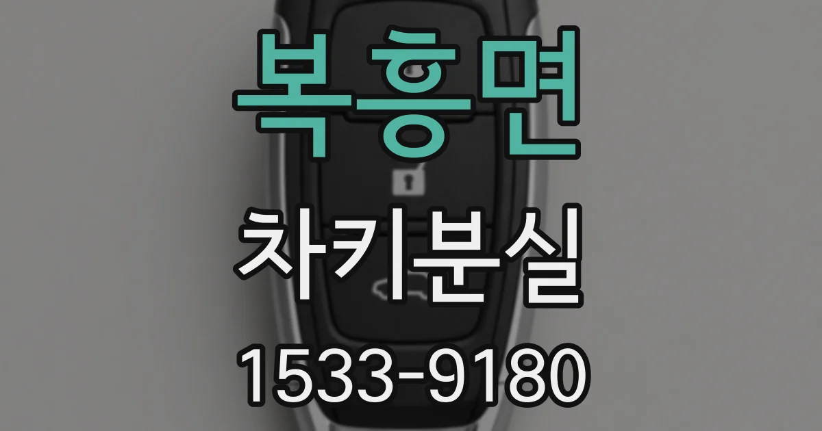 복흥면 차키분실