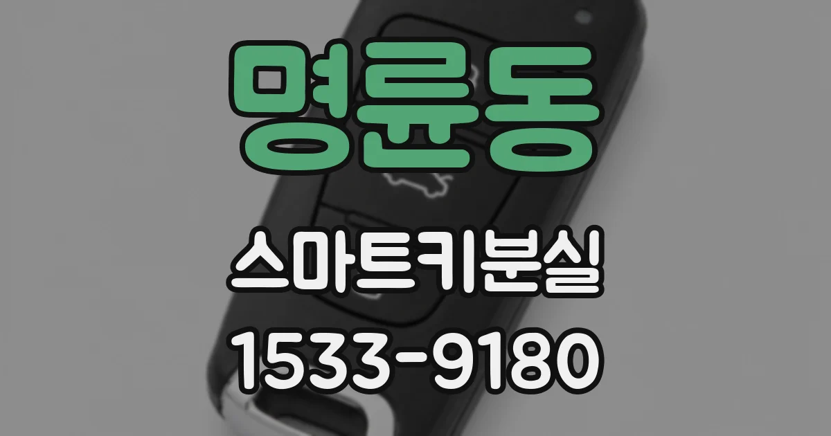 명륜동 스마트키분실