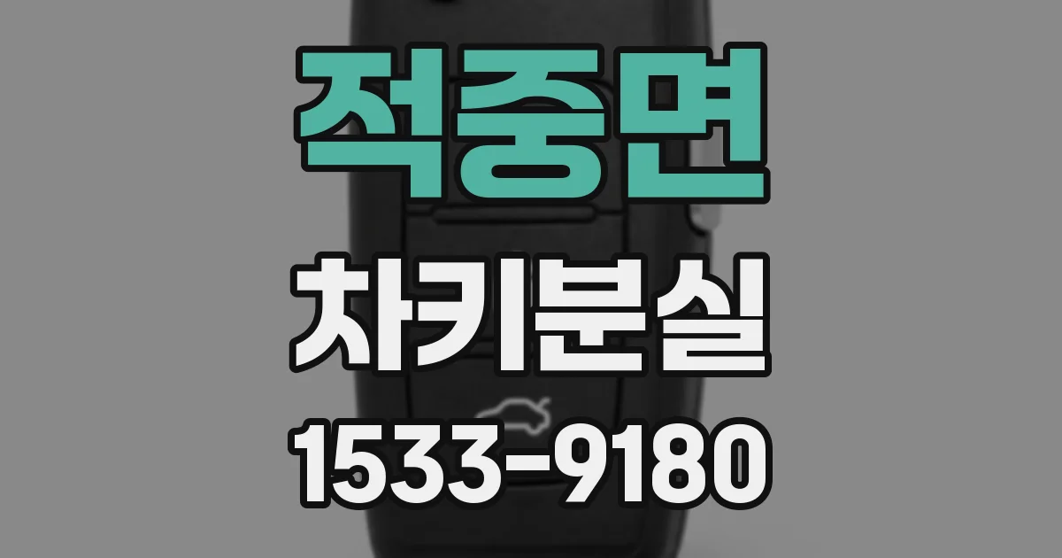 적중면 차키분실