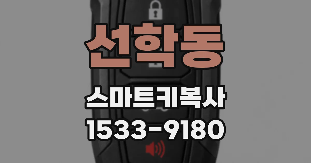 선학동 스마트키복사