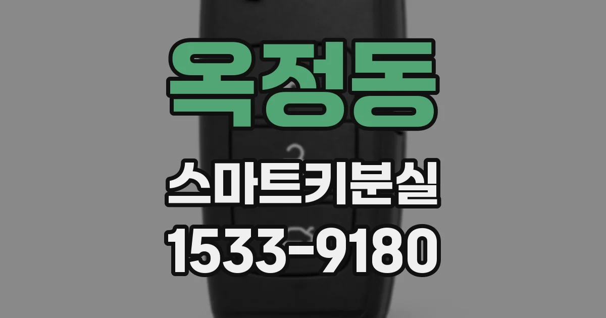 옥정동 스마트키분실