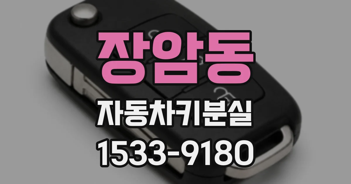 장암동 자동차키분실