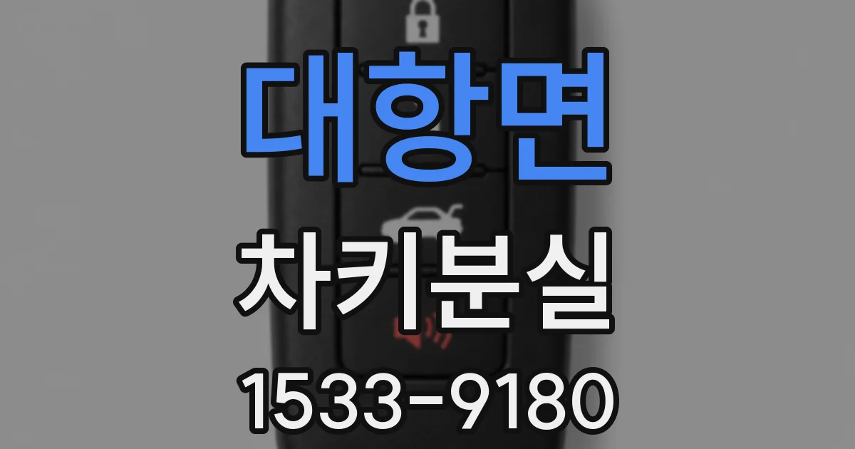 대항면 차키분실