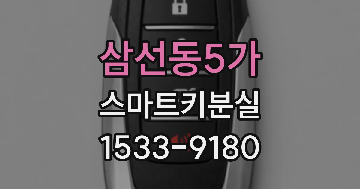 삼선동5가 스마트키분실
