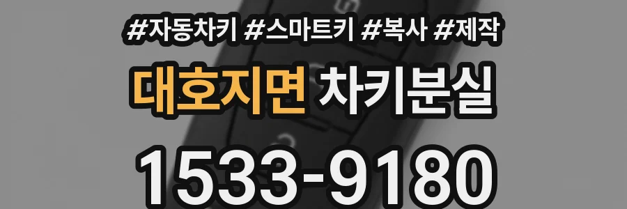 대호지면 차키분실