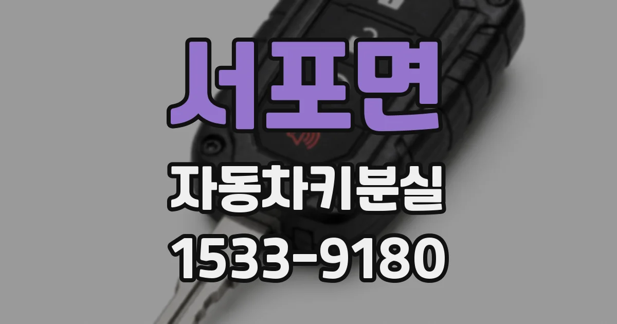서포면 자동차키분실