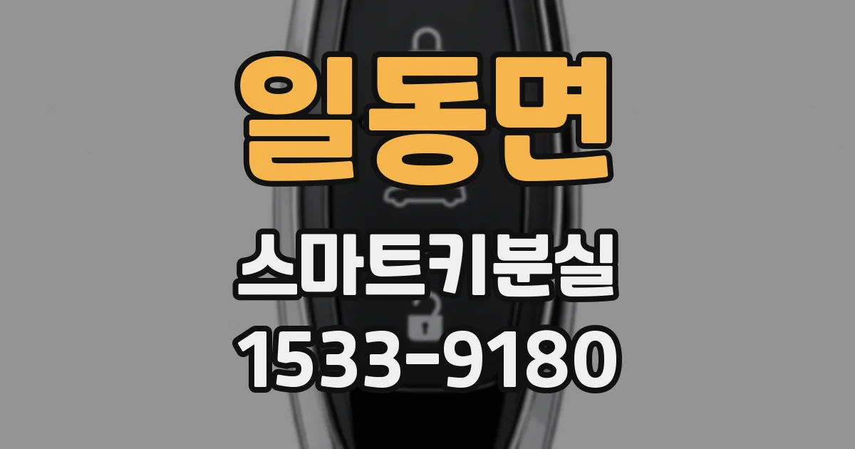 일동면 스마트키분실
