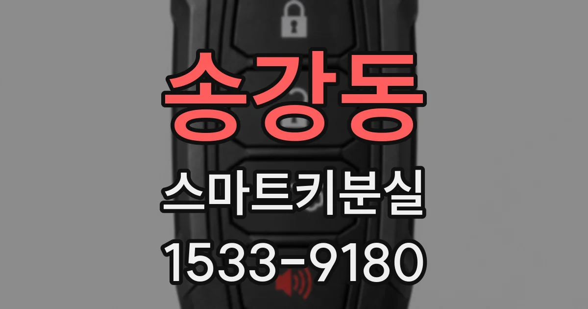 송강동 스마트키분실