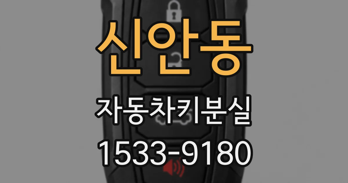신안동 자동차키분실