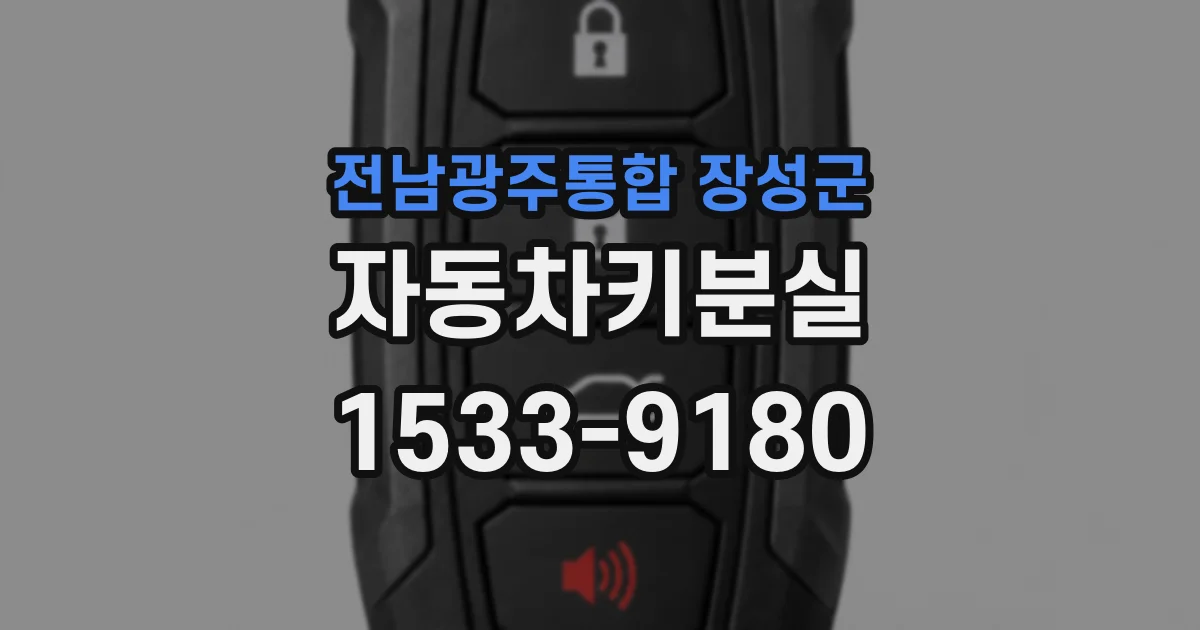 전남광주통합 장성군 자동차키분실