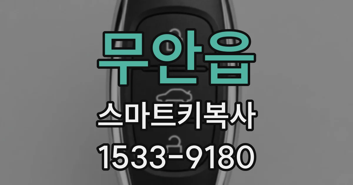 무안읍 스마트키복사